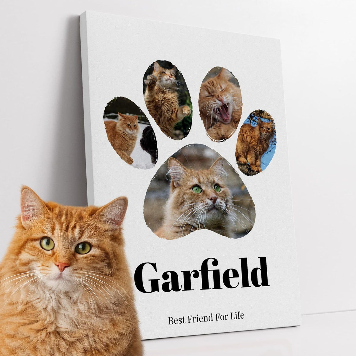 Empreinte de patte personnalisée : 5 photos de votre chat dans les coussinets, son prénom et votre phrase, imprimée sur toile canvas et livrée chez vous (exemple)