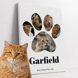 Animal Chat